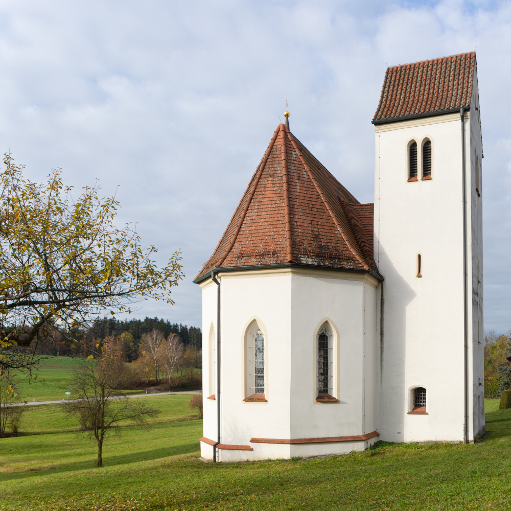 Wald bei Falkenberg